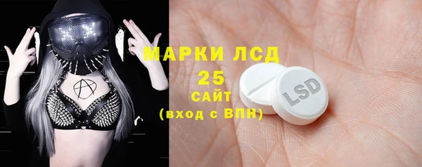 ПСИЛОЦИБИНОВЫЕ ГРИБЫ Медвежьегорск