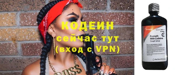 герыч Мегион