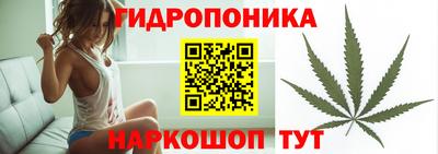 PSILOCYBIN Волгодонск