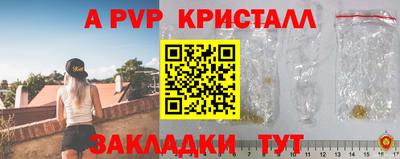 спиды Гусев