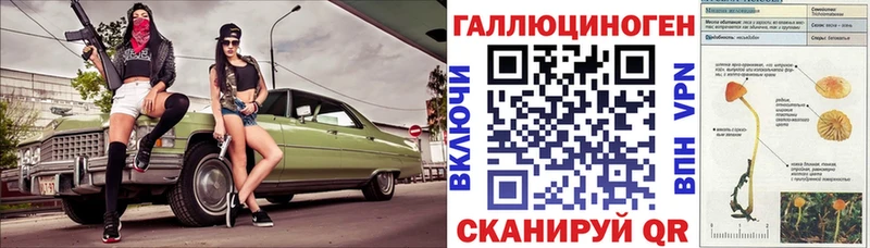 KRAKEN зеркало  Тихвин  Псилоцибиновые грибы прущие грибы 