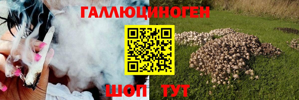 Псилоцибиновые грибы мицелий Тихвин