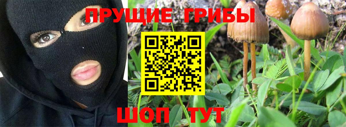 Тихвин  Псилоцибиновые грибы ЛСД  Вход с VPN  Псилоцибиновые грибы мухоморы 